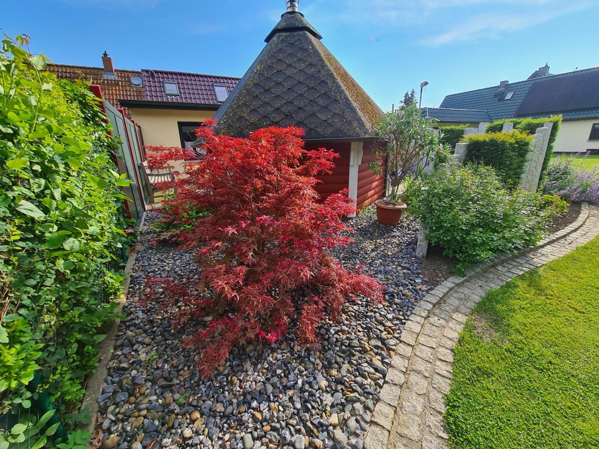 Ferienhaus Saupe Schaprode Bagian luar foto